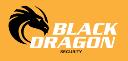 Black Dragon Security Pvt. Ltd. logo